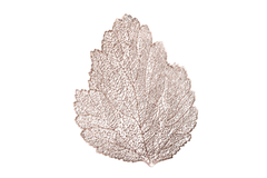 Set of 6 Rose Gold Lace Leaf Table Mats – Elegant Nature-Inspired Placemats