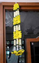 Elegant Indian Door Hanging