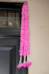 Elegant Indian Door Hanging