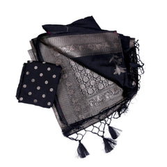 Black Silk Saree with Antique Silver Zari Work