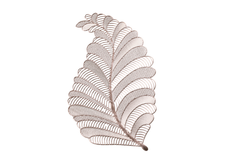 Set of 6 Elegant Lace Leaf Table Mats - Rose Gold