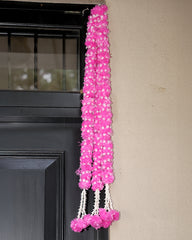 Elegant Indian Door Hanging