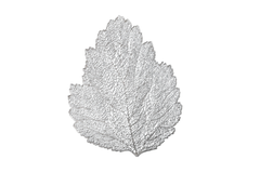 Set of 6 Silver Lace Leaf Table Mats – Elegant Nature-Inspired Placemats