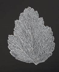 Set of 6 Silver Lace Leaf Table Mats – Elegant Nature-Inspired Placemats