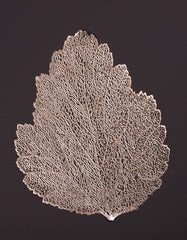 Set of 6 Rose Gold Lace Leaf Table Mats – Elegant Nature-Inspired Placemats