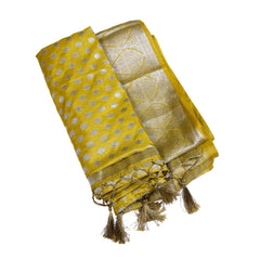Light Green Silk Saree with Silver Zari Weave